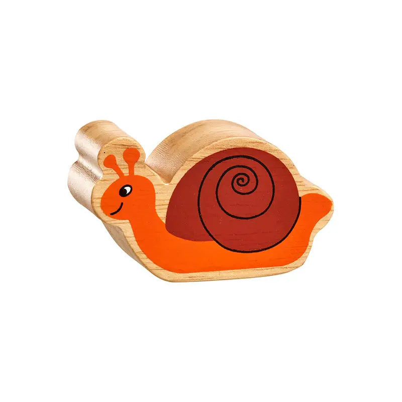 Natural Brown & Orange Snail