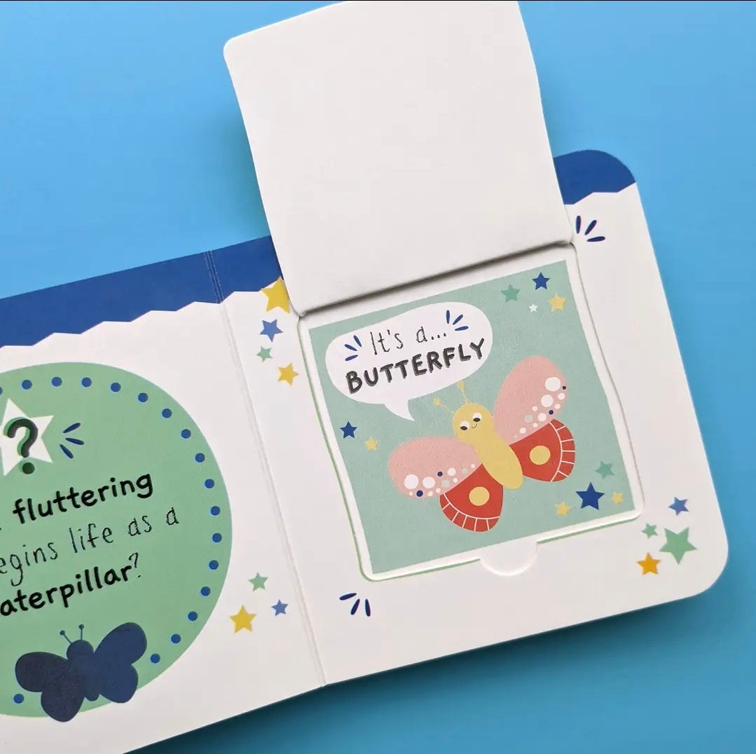 Little Wonders My First Mini Lift The Flap Book - Bugs