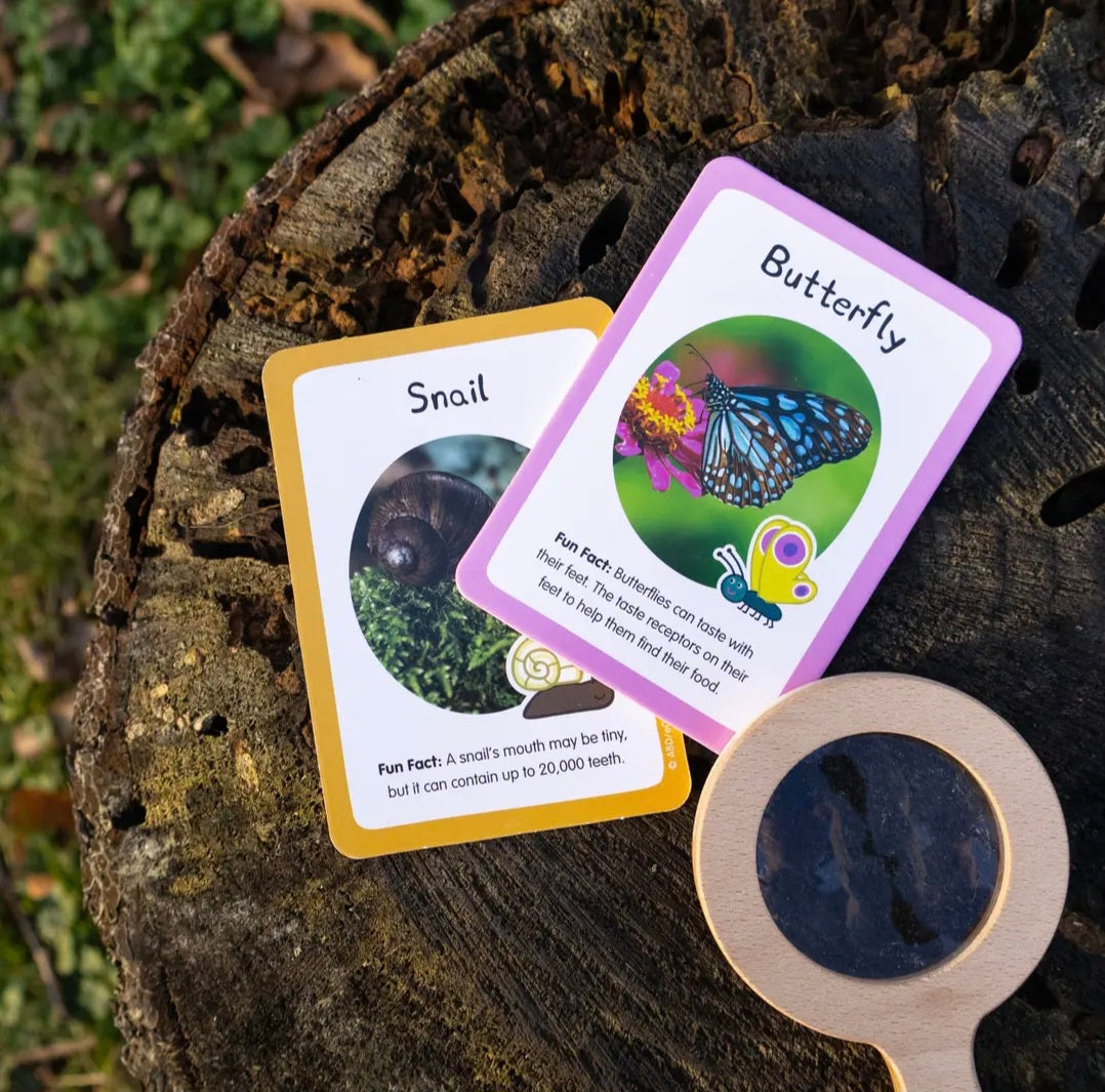 The Gruffalo Bug Spotter Activity Set