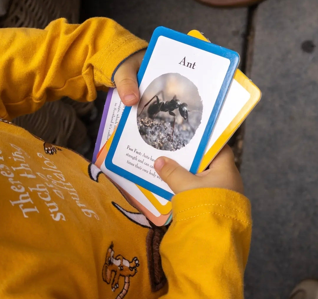 The Gruffalo Bug Spotter Activity Set