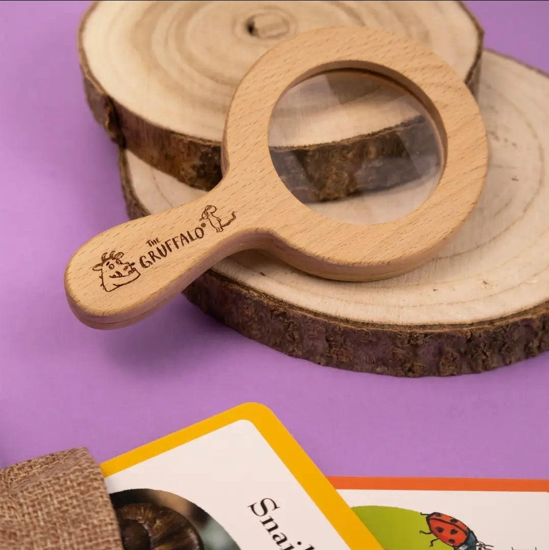 The Gruffalo Bug Spotter Activity Set