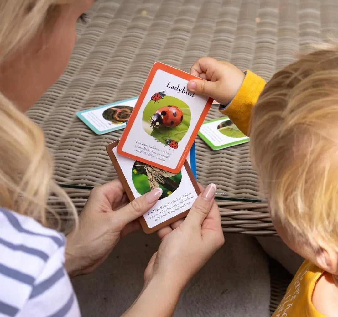 The Gruffalo Bug Spotter Activity Set
