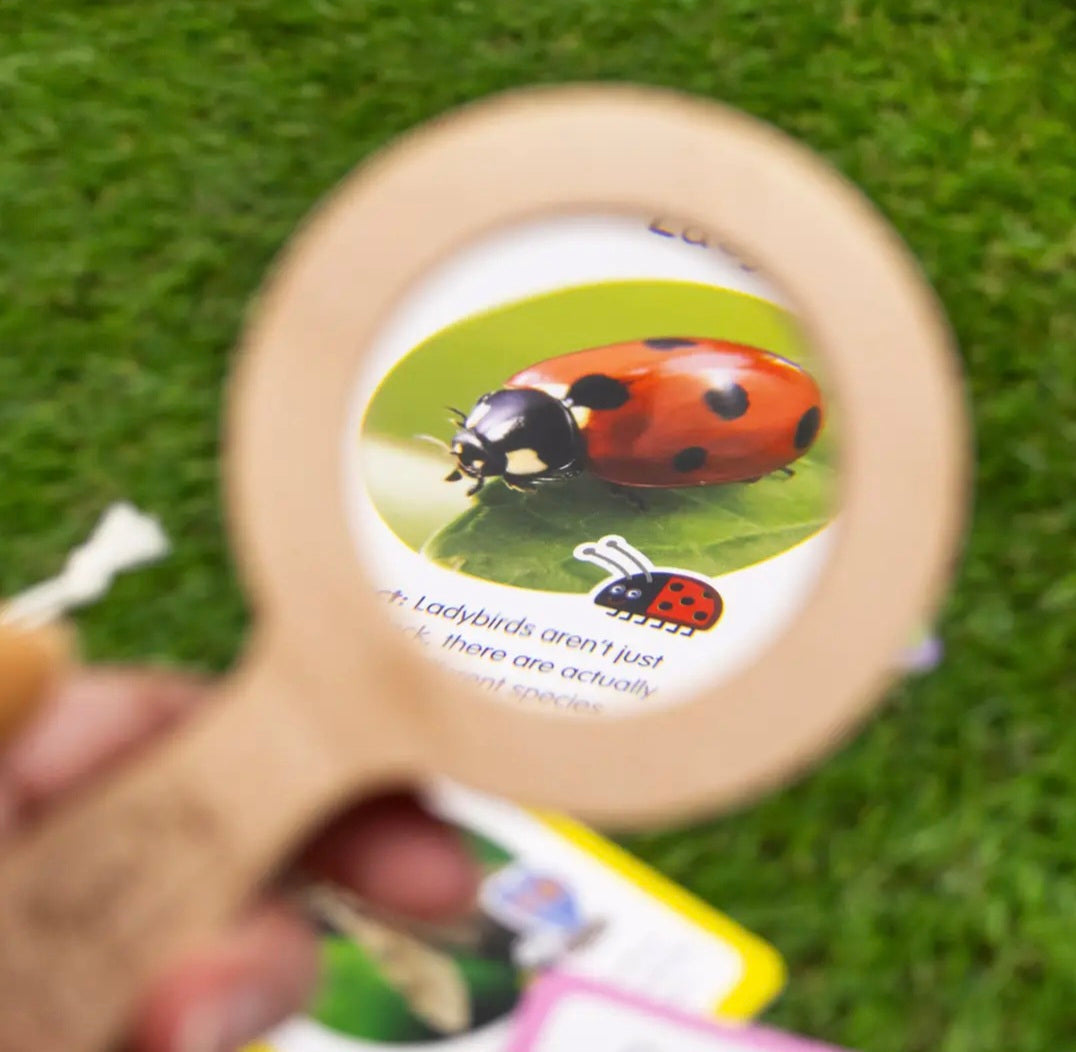 Peppa Pig Bug Spotter Activity Set