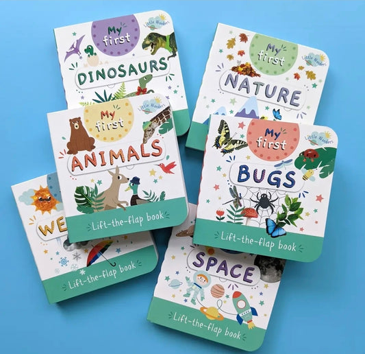 Little Wonders My First Mini Lift The Flap Book - Bugs